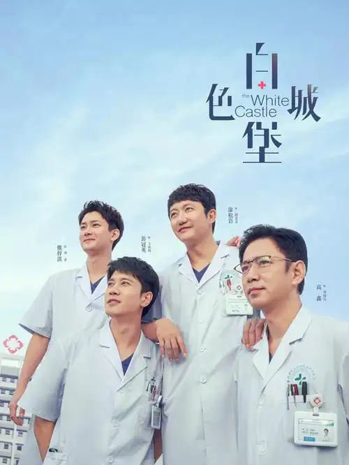 风起南巷剧集封面